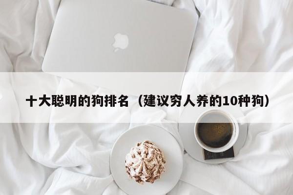 十大聪明的狗排名（建议穷人养的10种狗）