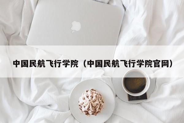 中国民航飞行学院（中国民航飞行学院官网）