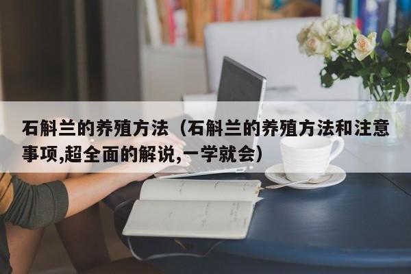 石斛兰的养殖方法（石斛兰的养殖方法和注意事项,超全面的解说,一学就会）