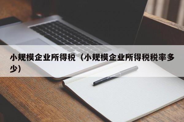 小规模企业所得税（小规模企业所得税税率多少）
