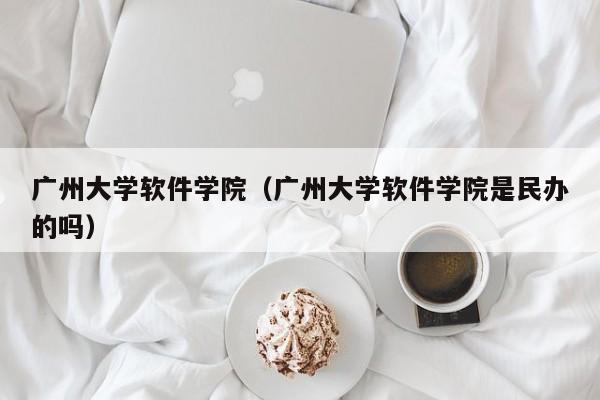广州大学软件学院（广州大学软件学院是民办的吗）