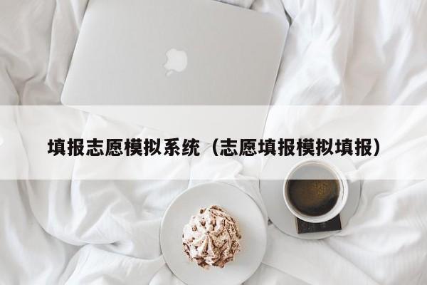 填报志愿模拟系统（志愿填报模拟填报）