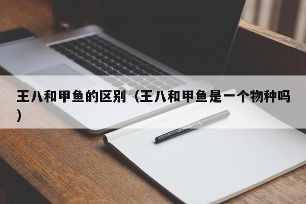 王八和甲鱼的区别（王八和甲鱼是一个物种吗）