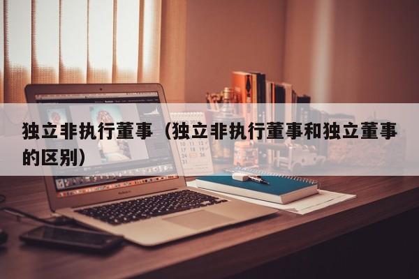 独立非执行董事（独立非执行董事和独立董事的区别）