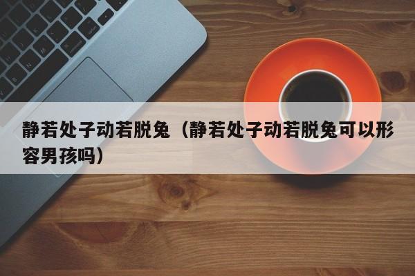 静若处子动若脱兔（静若处子动若脱兔可以形容男孩吗）