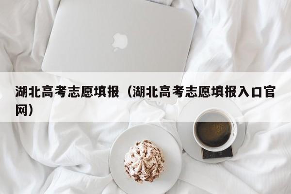 湖北高考志愿填报（湖北高考志愿填报入口官网）