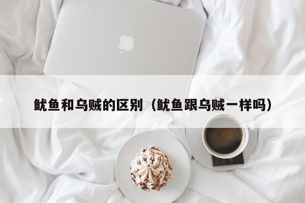 鱿鱼和乌贼的区别（鱿鱼跟乌贼一样吗）