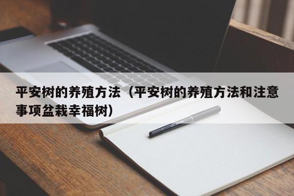 平安树的养殖方法（平安树的养殖方法和注意事项盆栽幸福树）