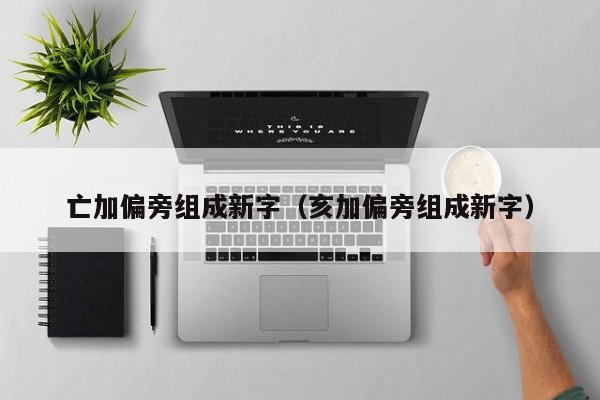 亡加偏旁组成新字（亥加偏旁组成新字）
