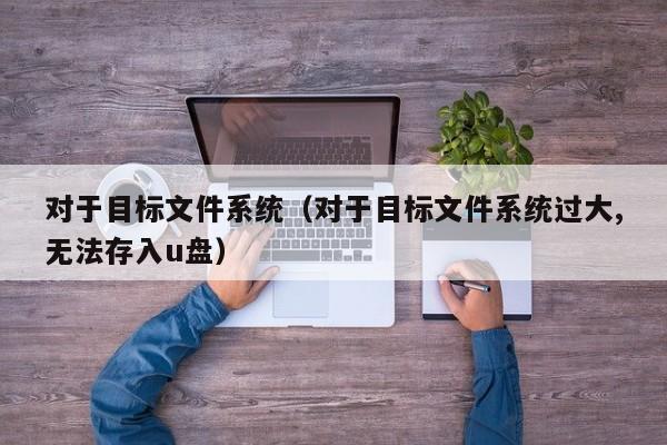 对于目标文件系统（对于目标文件系统过大,无法存入u盘）