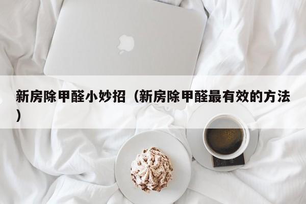 新房除甲醛小妙招（新房除甲醛最有效的方法）