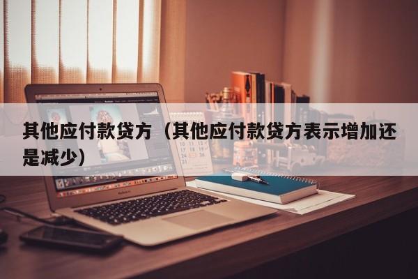 其他应付款贷方（其他应付款贷方表示增加还是减少）