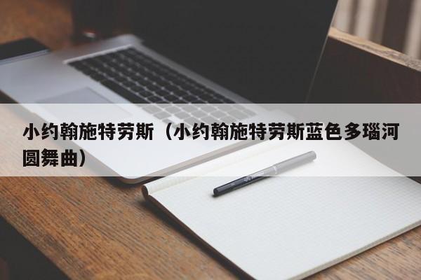 小约翰施特劳斯（小约翰施特劳斯蓝色多瑙河圆舞曲）