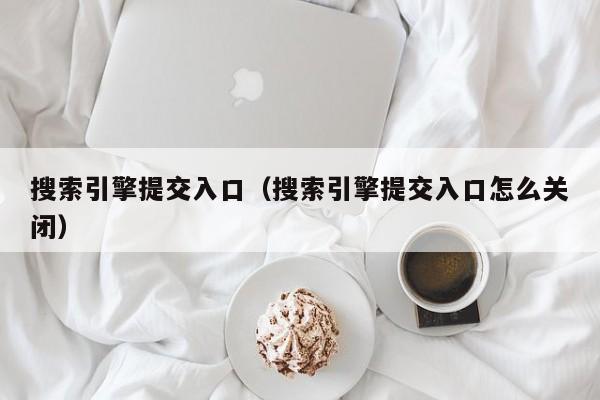 搜索引擎提交入口（搜索引擎提交入口怎么关闭）
