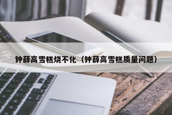 钟薛高雪糕烧不化（钟薛高雪糕质量问题）