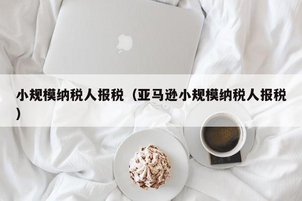 小规模纳税人报税（亚马逊小规模纳税人报税）